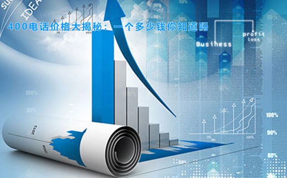 400电话价格大揭秘：一个多少钱你知道吗
